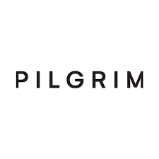 Pilgrim Beat crystal coin neck
