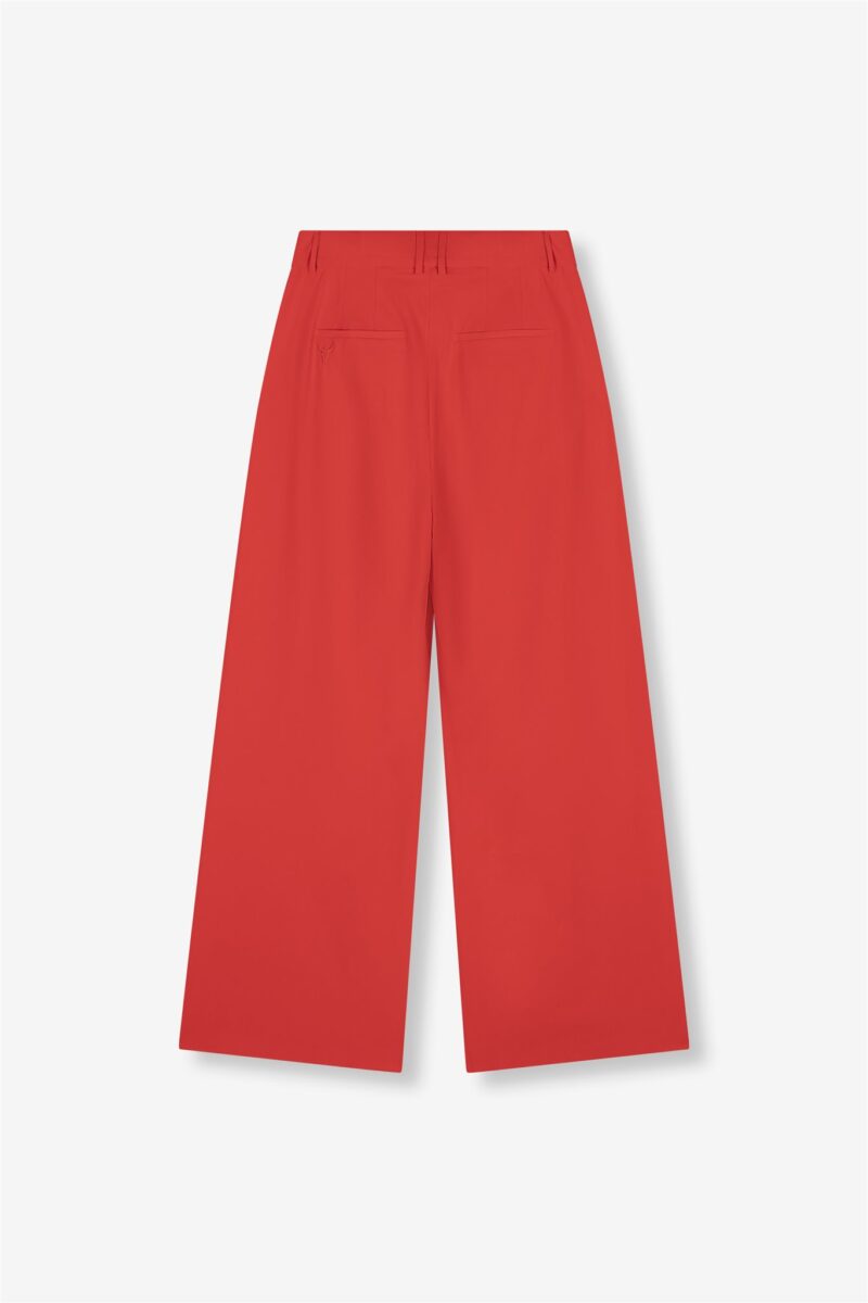 Alix Pleat pants