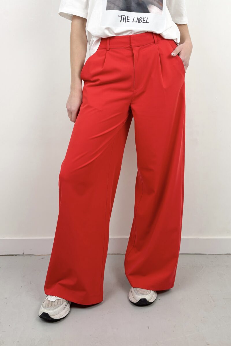 Alix Pleat pants