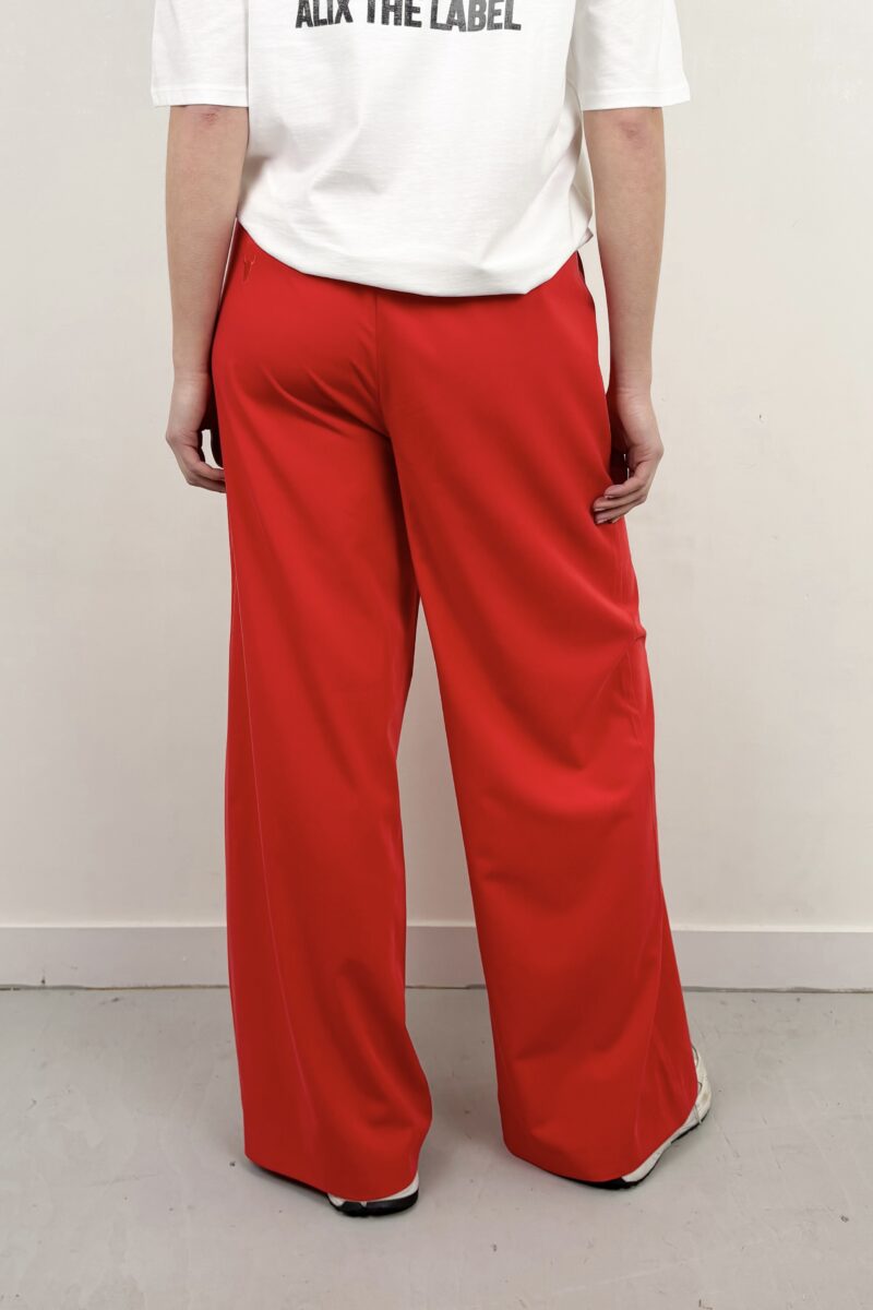 Alix Pleat pants