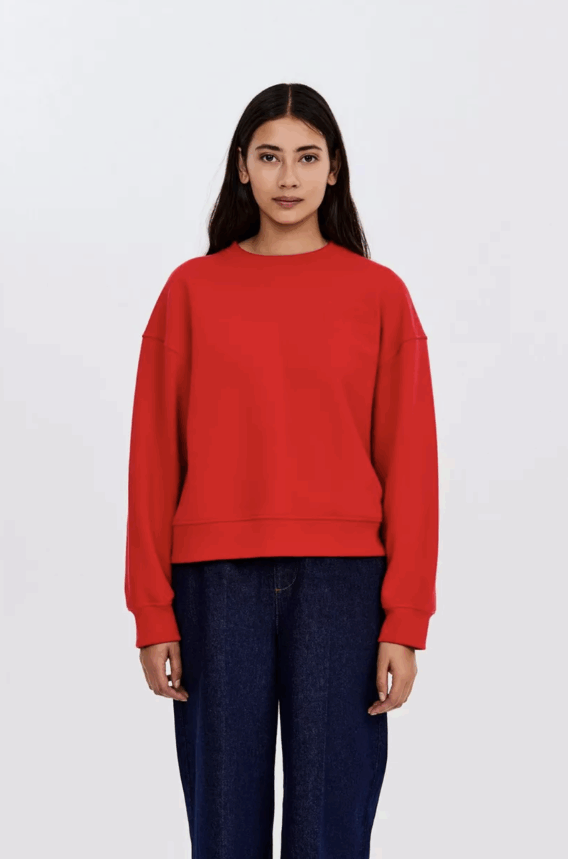 CKS Swan sweater