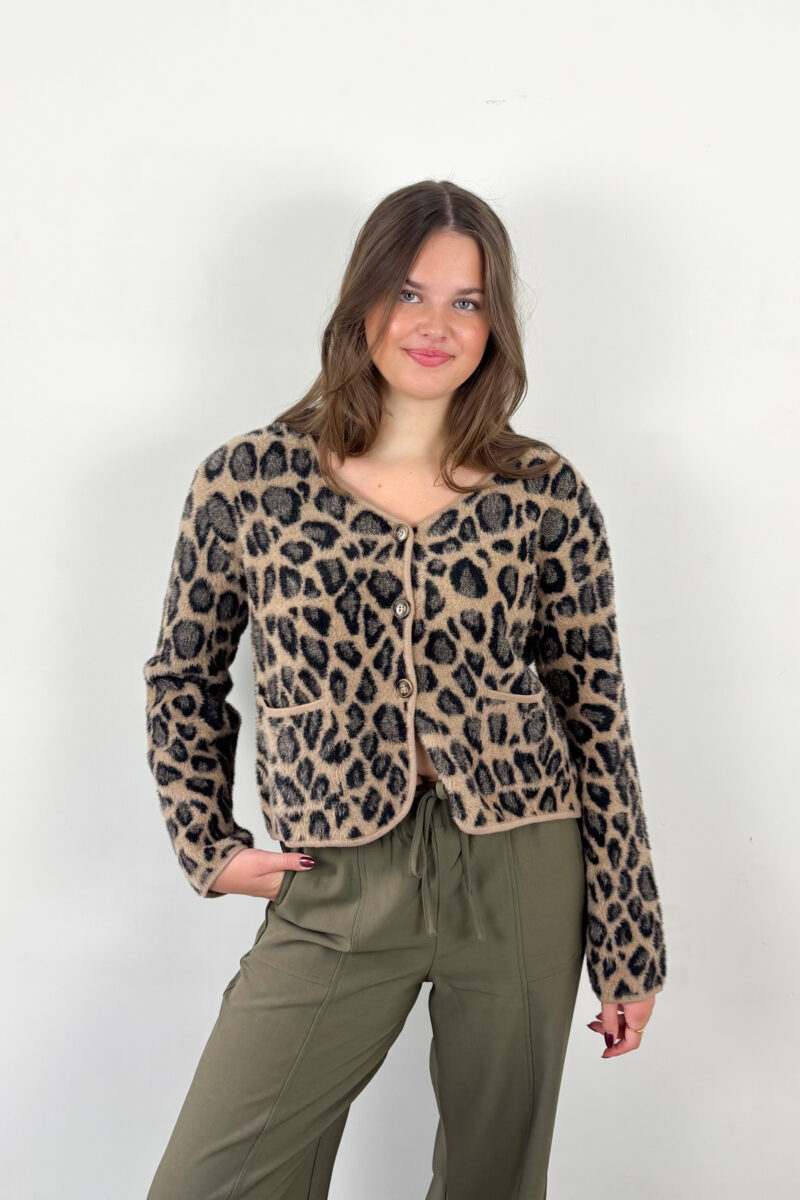 Frnch Begonia cardigan