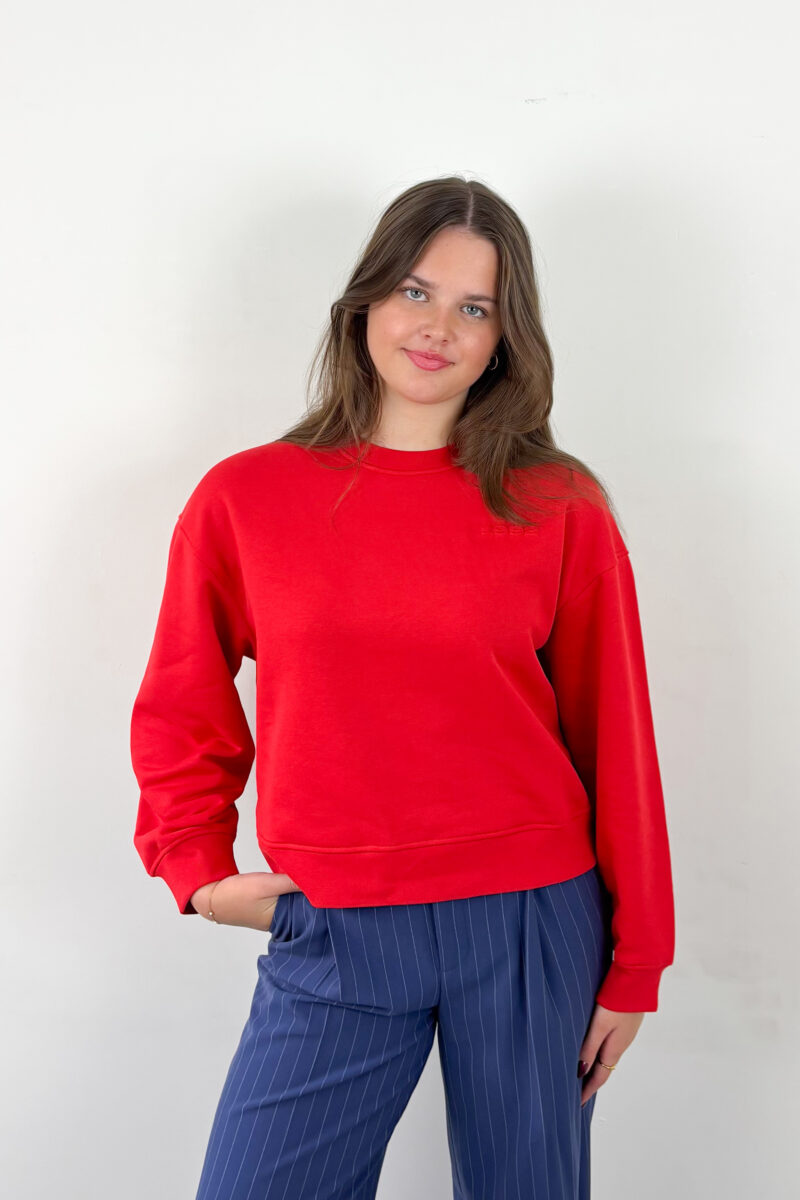 CKS Swan sweater