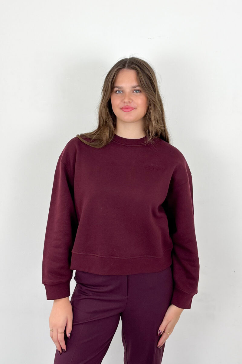 CKS Swan sweater