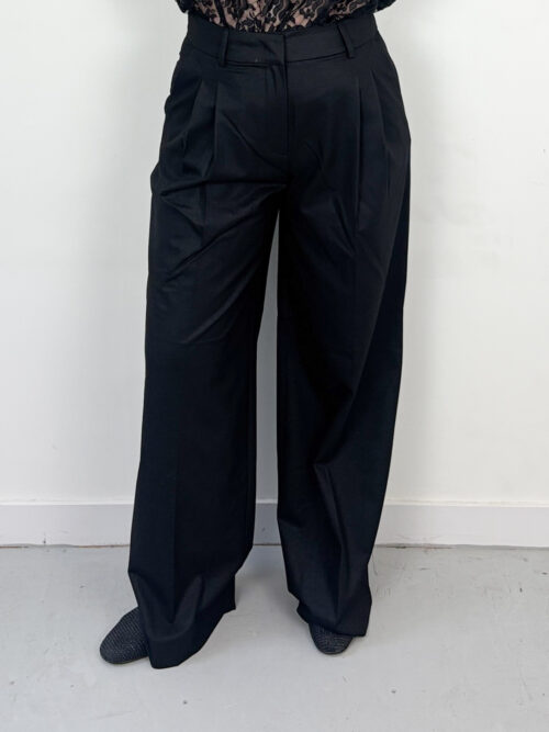 Co Couture Sibelle pleat pant