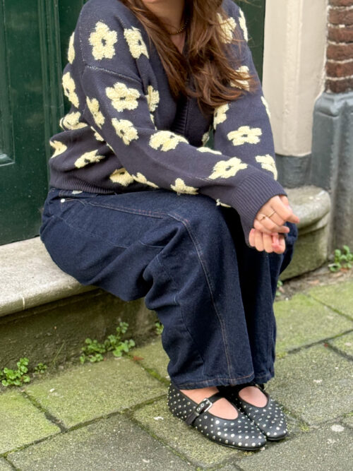 Frnch Bergenia cardigan