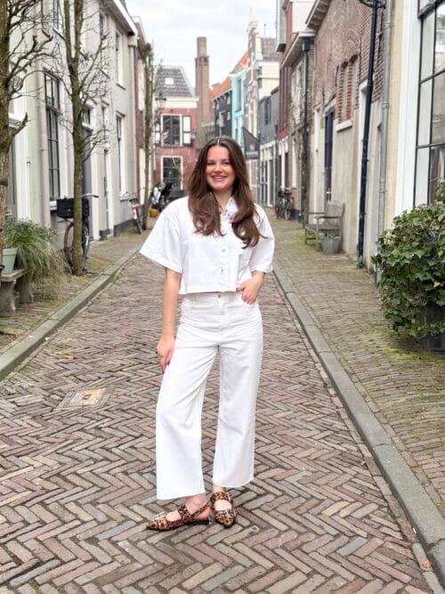 Circle Of Trust Boston dnm