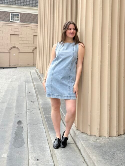 Frnch Vito dress