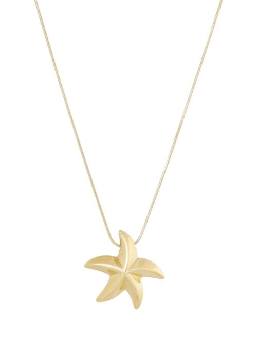 Ellen Beekmans zeester ketting Ellen Beekmans zeester ketting
