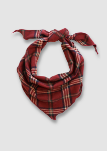 Bonnie Plaid scarf