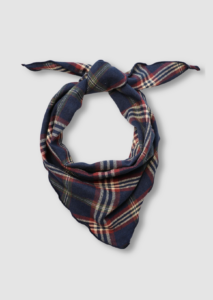 Bonnie Plaid scarf