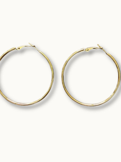 Bonnie Big thin hoops